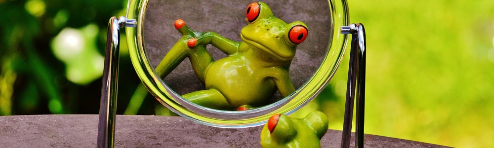 Host Your Own Services With FreeBSD: Advanced Installation - UEFI Gmirror GPT UFS